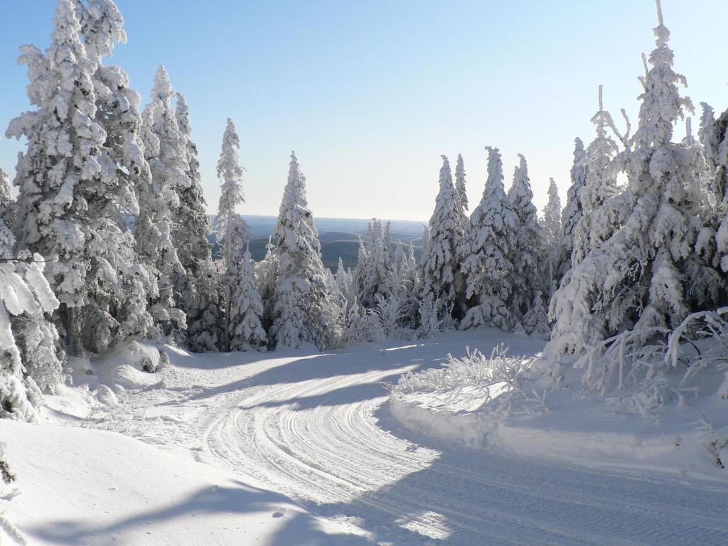Hotel La Cuillere A Pot Saint-Donat-de-Montcalm Zewnętrze zdjęcie